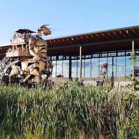 T2 Cosy Jean Jaures Et Gare Matabiau Toulouse